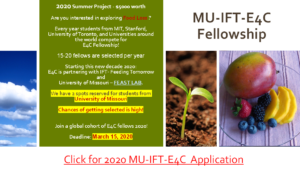MU-IFT-E4C FELLOWSHIPS 2020